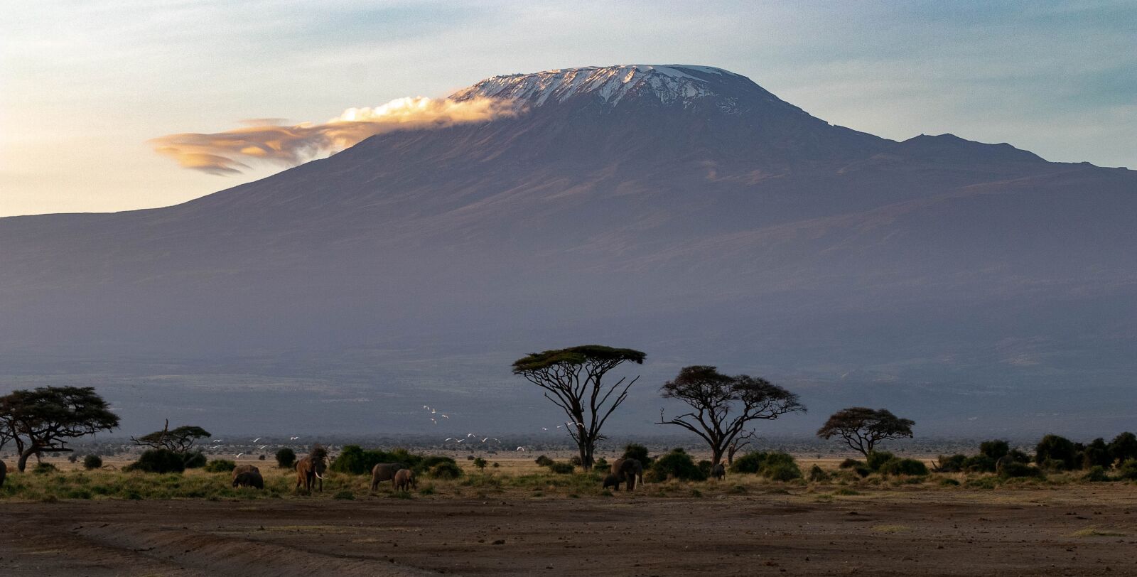 Canon EOS 80D sample photo. Africa, kenya, amboseli national photography