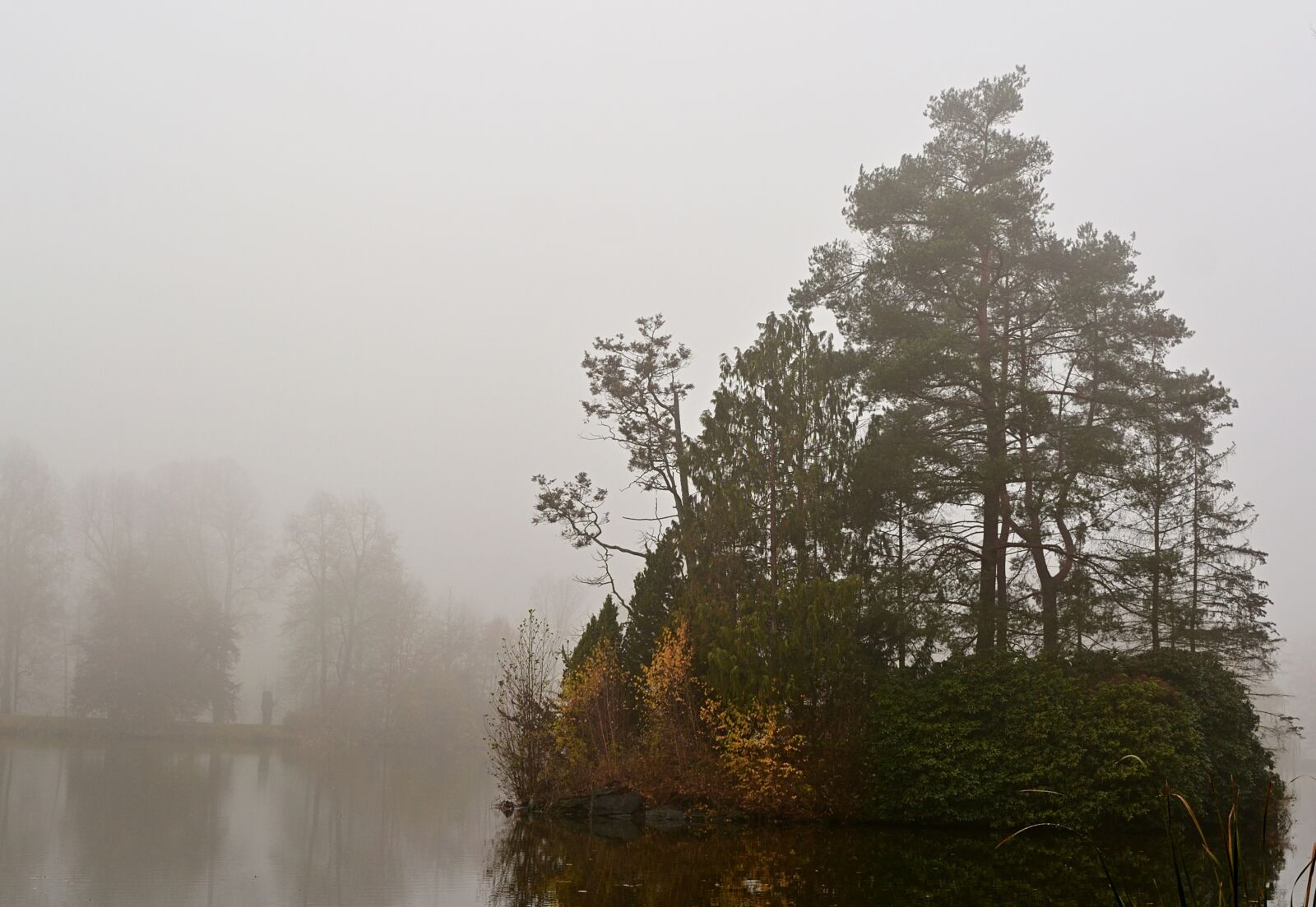 Nikon D5200 sample photo. Park lake, fog, nature photography
