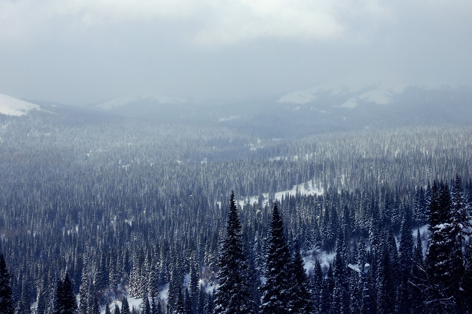 Canon EF-S 18-55mm F3.5-5.6 IS sample photo. Blue, mountains, forest, kazakhstan photography