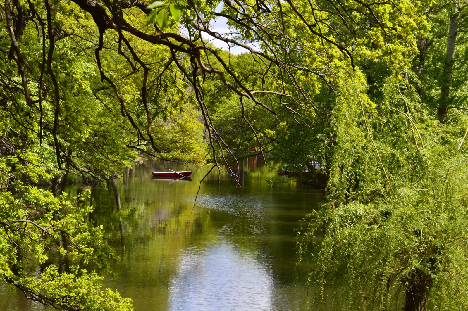 Nikon D3200 sample photo. Water, boat, pond photography