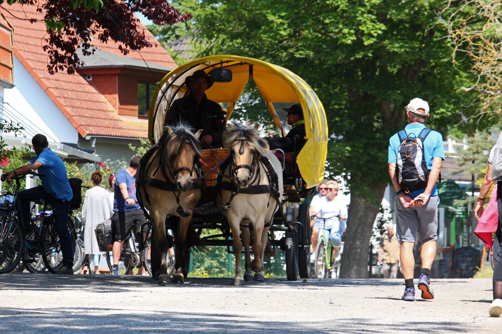 Canon EOS 700D (EOS Rebel T5i / EOS Kiss X7i) + Canon EF-S 55-250mm F4-5.6 IS STM sample photo. Hiddensee, horse drawn carriage photography
