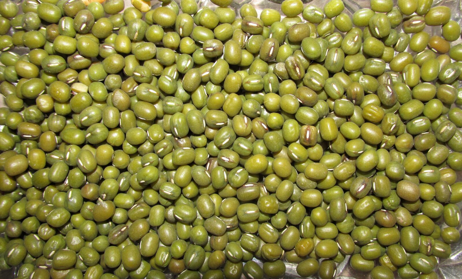 Canon PowerShot SX170 IS sample photo. Legume, beans, food photography