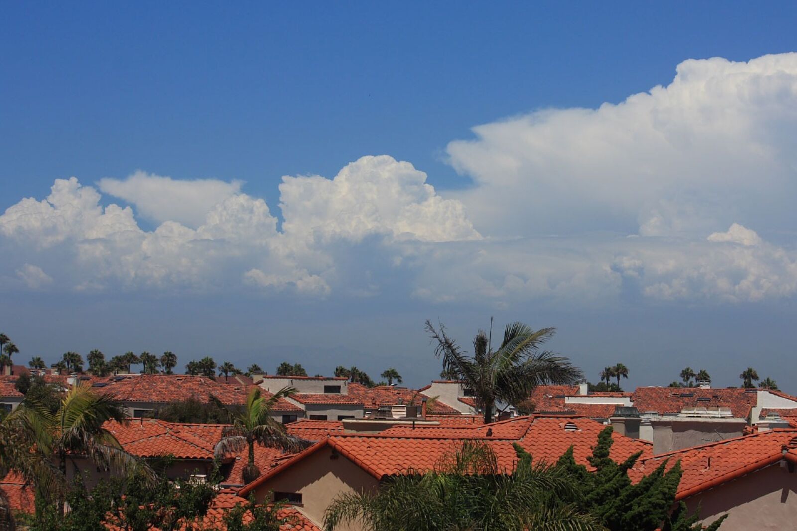 Canon EOS 450D (EOS Rebel XSi / EOS Kiss X2) sample photo. Clouds, sky, cumulus photography