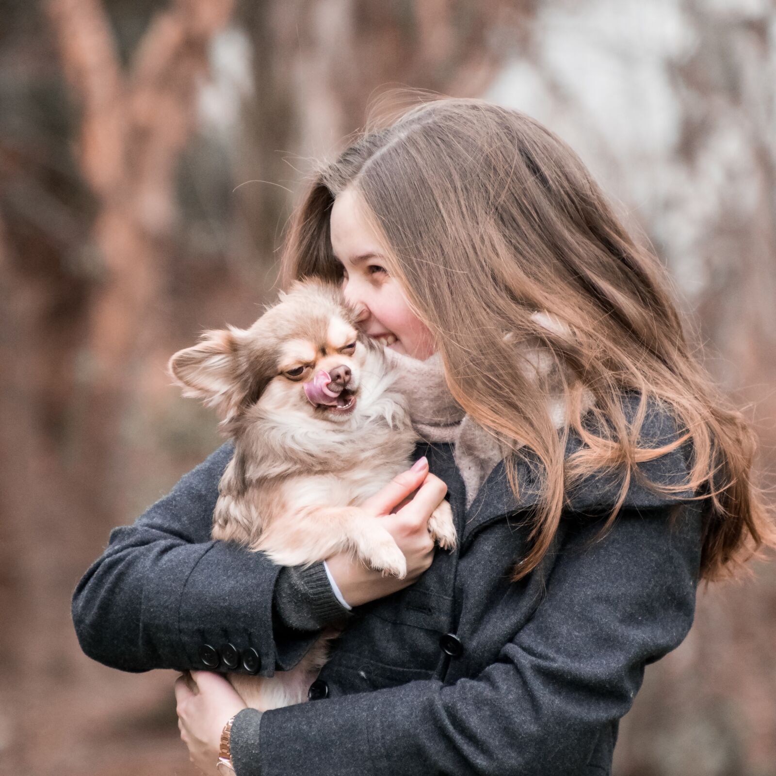 Nikon D3300 sample photo. Dog, animal, chihuahua photography