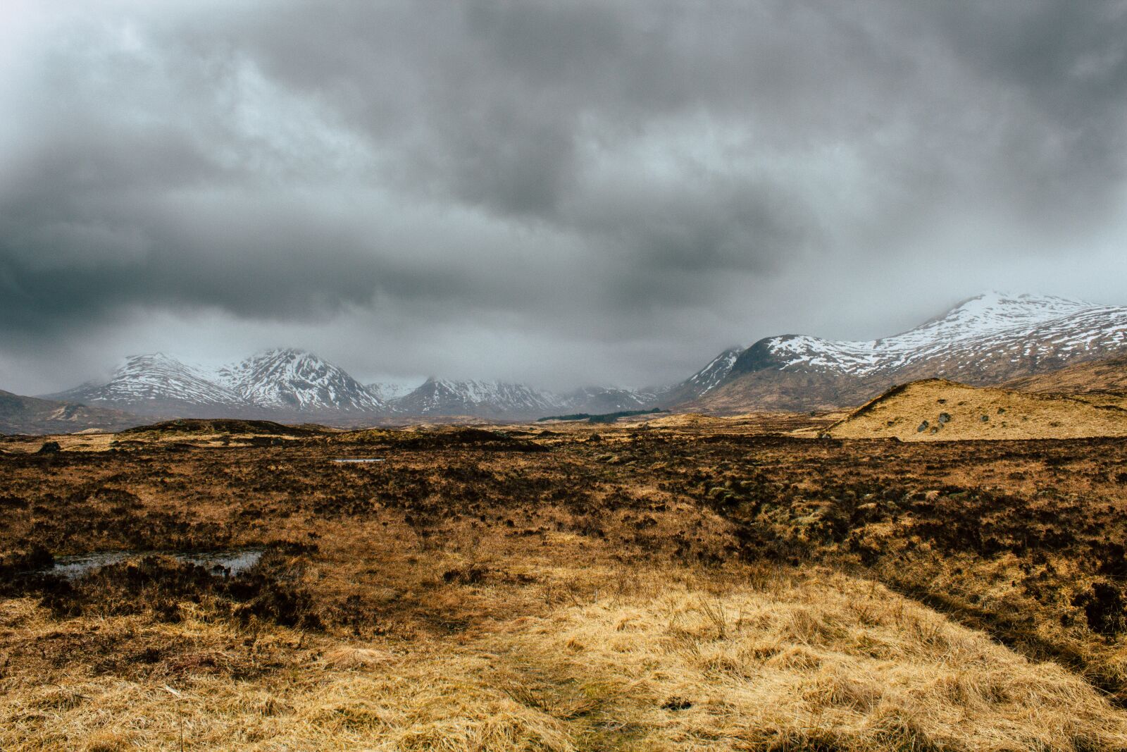 Canon EOS 600D (Rebel EOS T3i / EOS Kiss X5) sample photo. Scotland, landscape, karg photography
