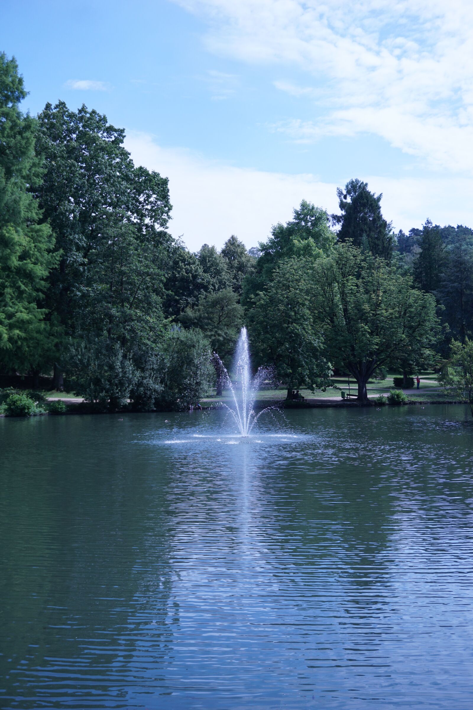Sony a6000 sample photo. Nature, plants, park photography
