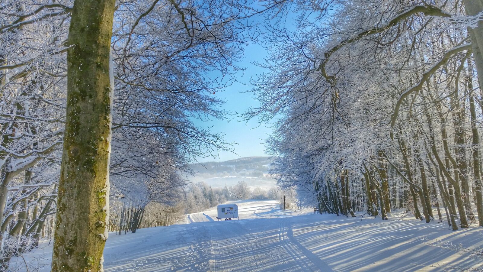 Samsung Galaxy S5 sample photo. Winter, snow, forest photography