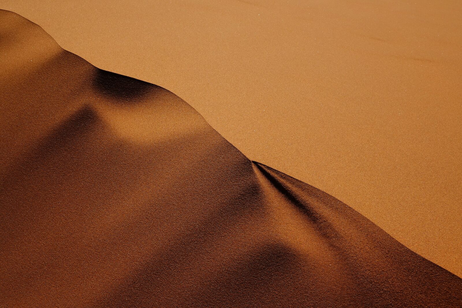Sony Cyber-shot DSC-RX10 II sample photo. Sand dune, dune, sand photography