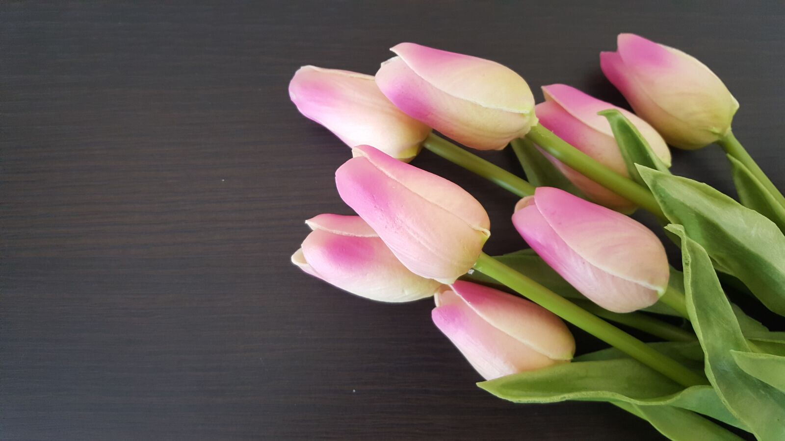 Samsung Galaxy S6 sample photo. Tulips, flowers, nature photography