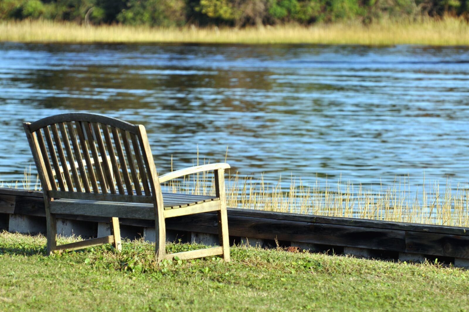 Nikon D5000 sample photo. Bench, grass, river, nature photography