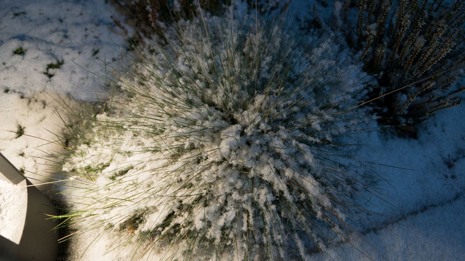 Sony DT 16-50mm F2.8 SSM sample photo. Nature, night, snow photography