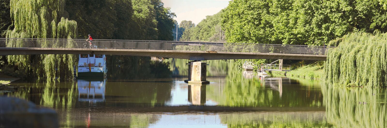 Panasonic Lumix DMC-GX8 sample photo. River, neckar, panorama photography