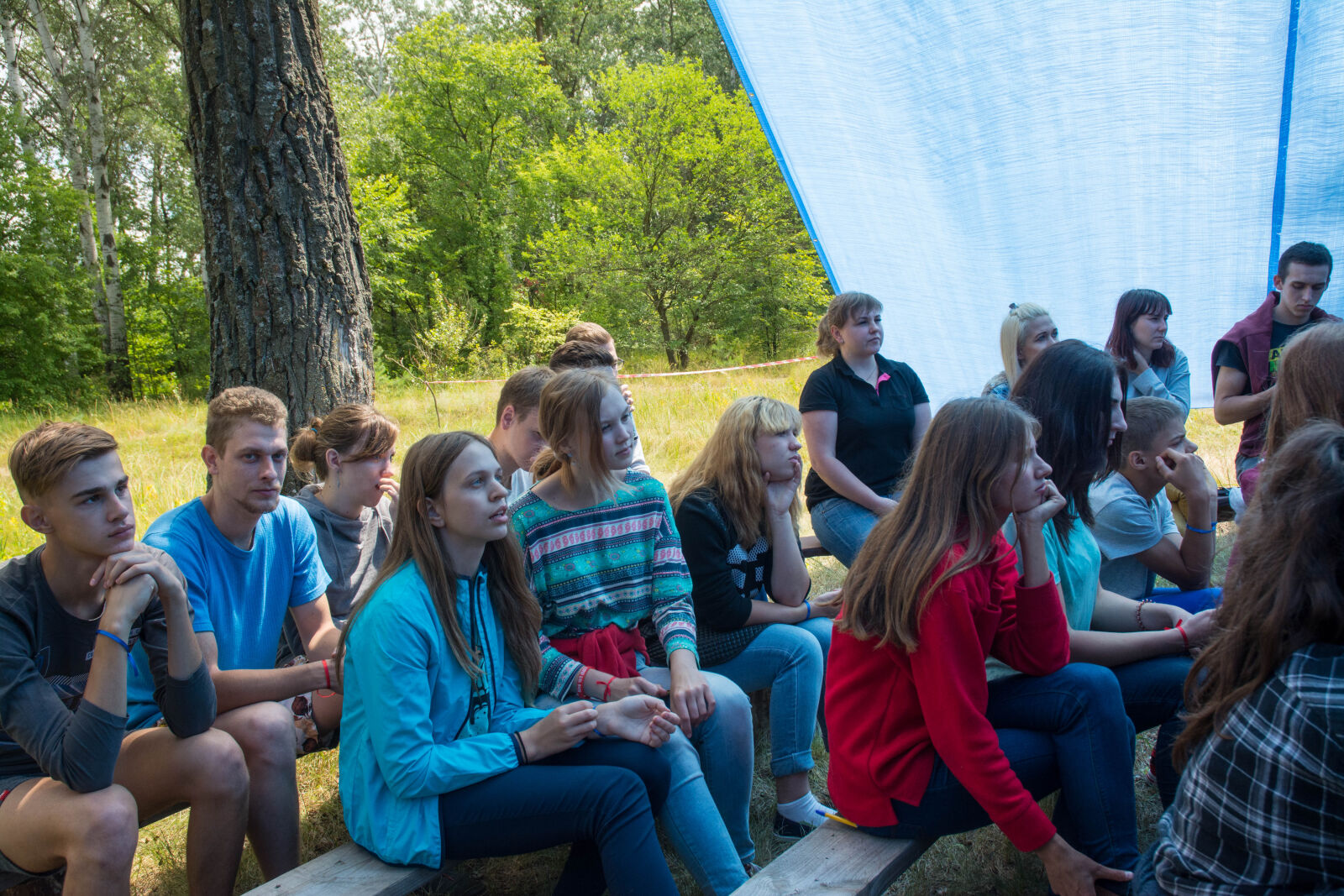 Nikon D7100 sample photo. Camp, dip, forest, pine photography