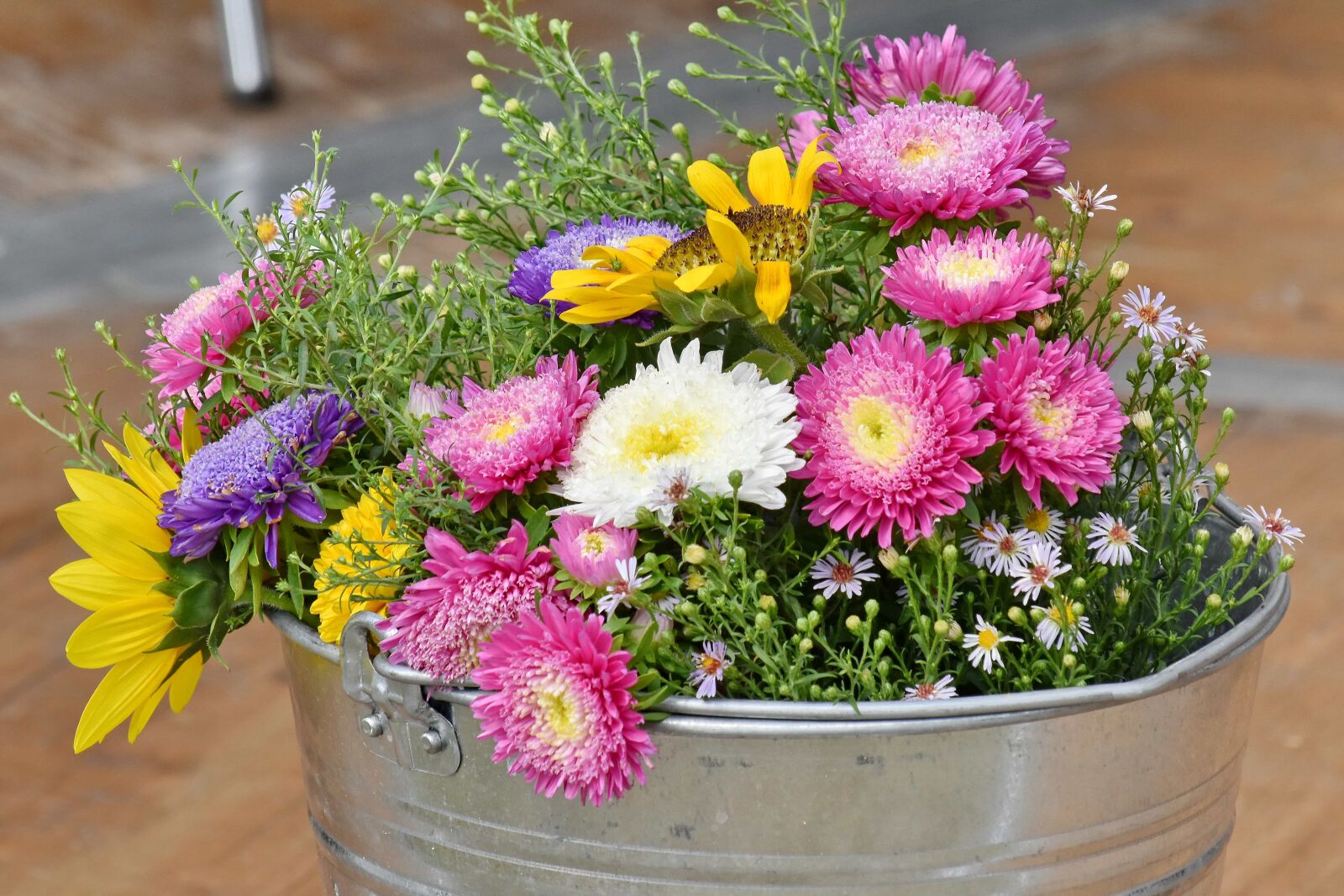 Nikon D5500 sample photo. Bucket, decoration, flowers, metal photography