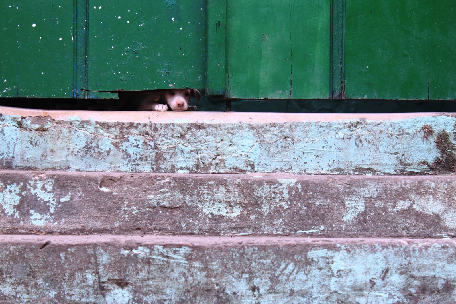 Canon EOS 500D (EOS Rebel T1i / EOS Kiss X3) sample photo. Door, texture, old photography