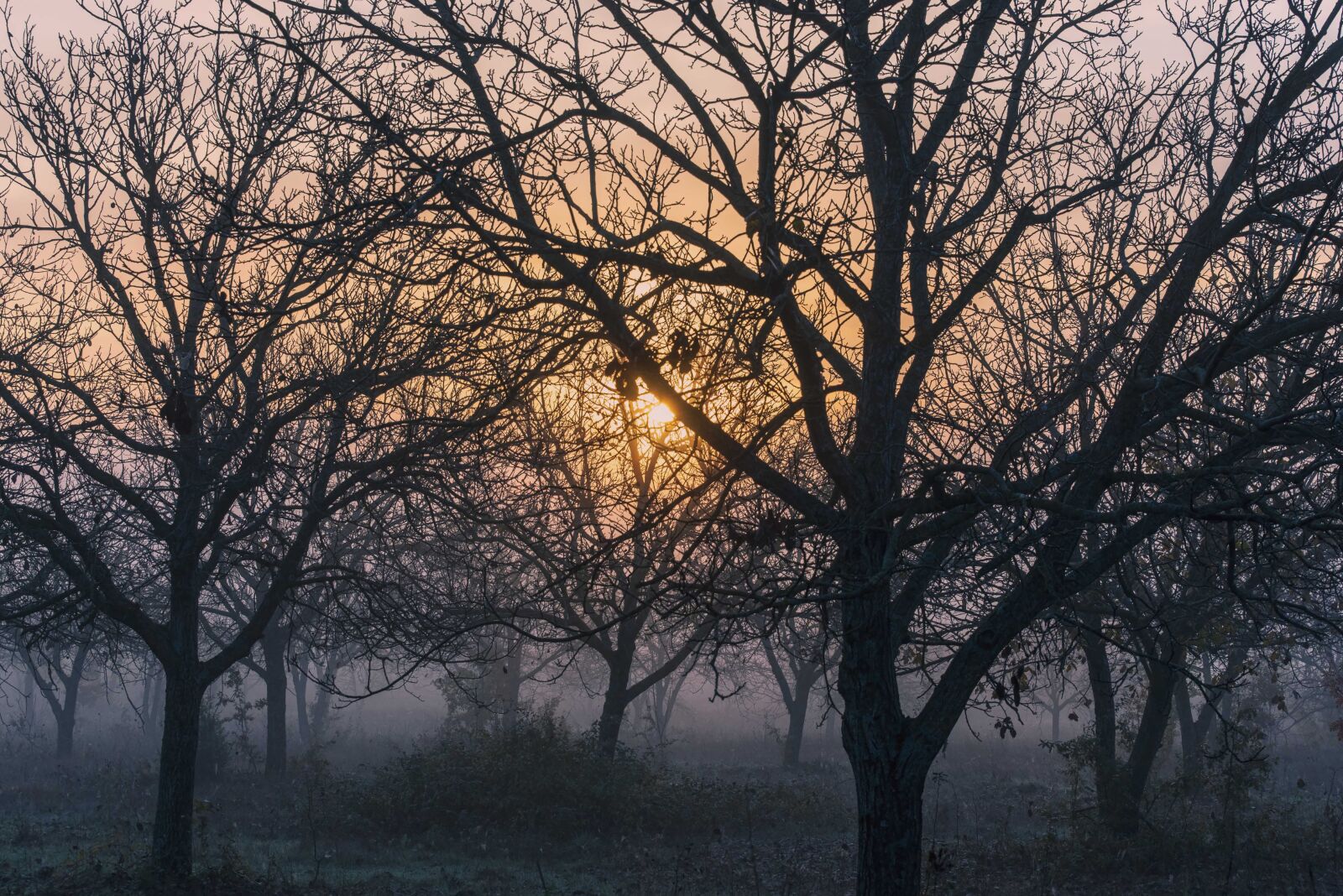Tamron SP 24-70mm F2.8 Di VC USD sample photo. Mountain, sunrise, fog photography