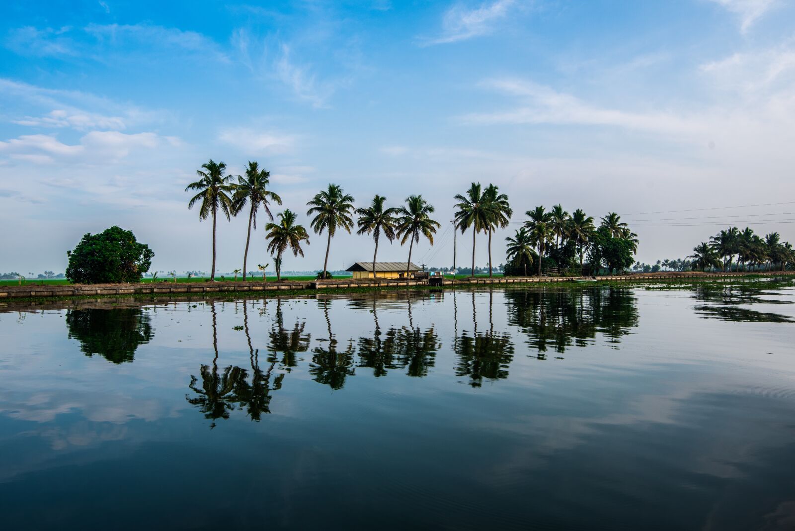 Nikon D750 sample photo. Backwater, reflection, water photography