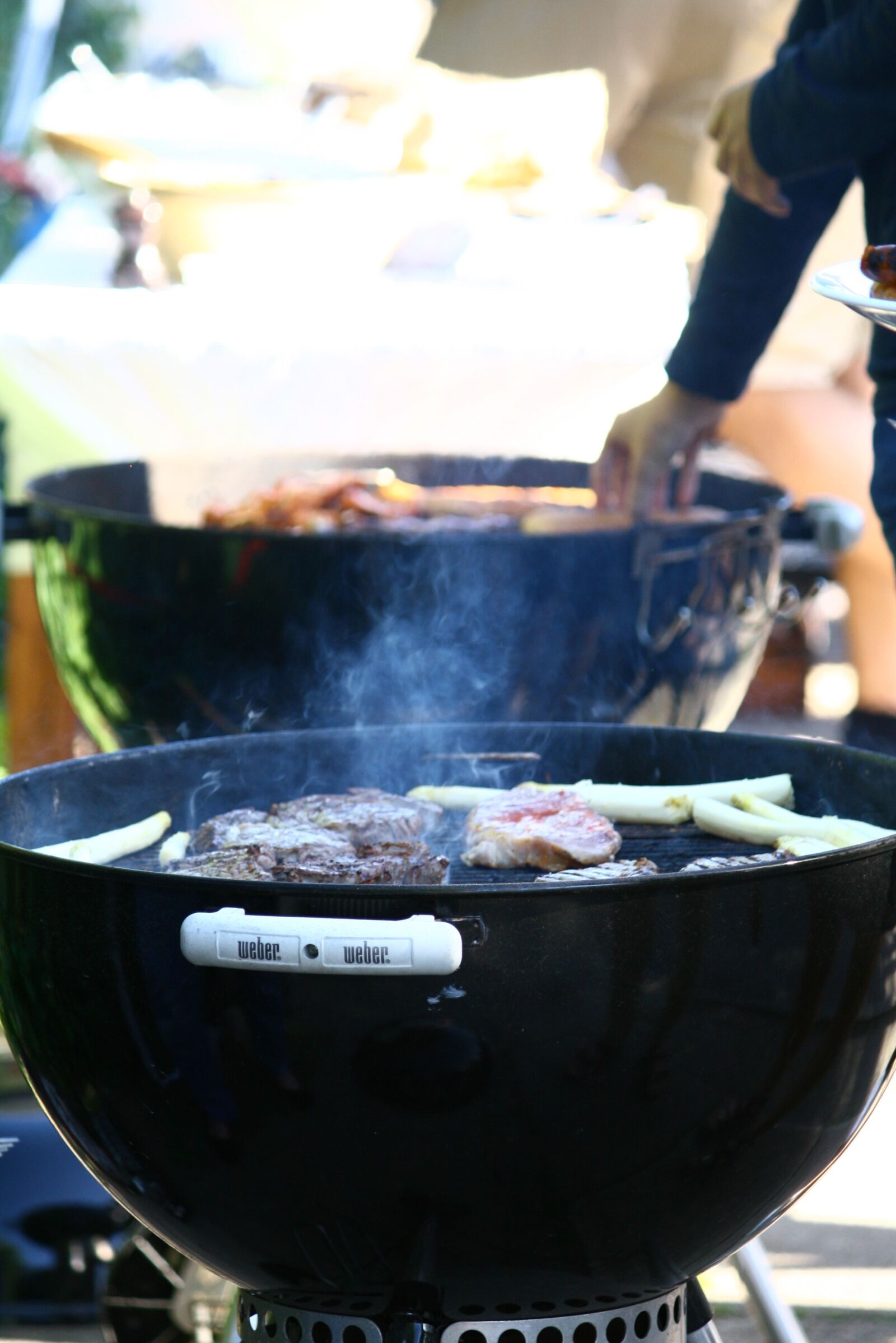 Canon EOS 400D (EOS Digital Rebel XTi / EOS Kiss Digital X) sample photo. Bbq, barbecue, grilled photography