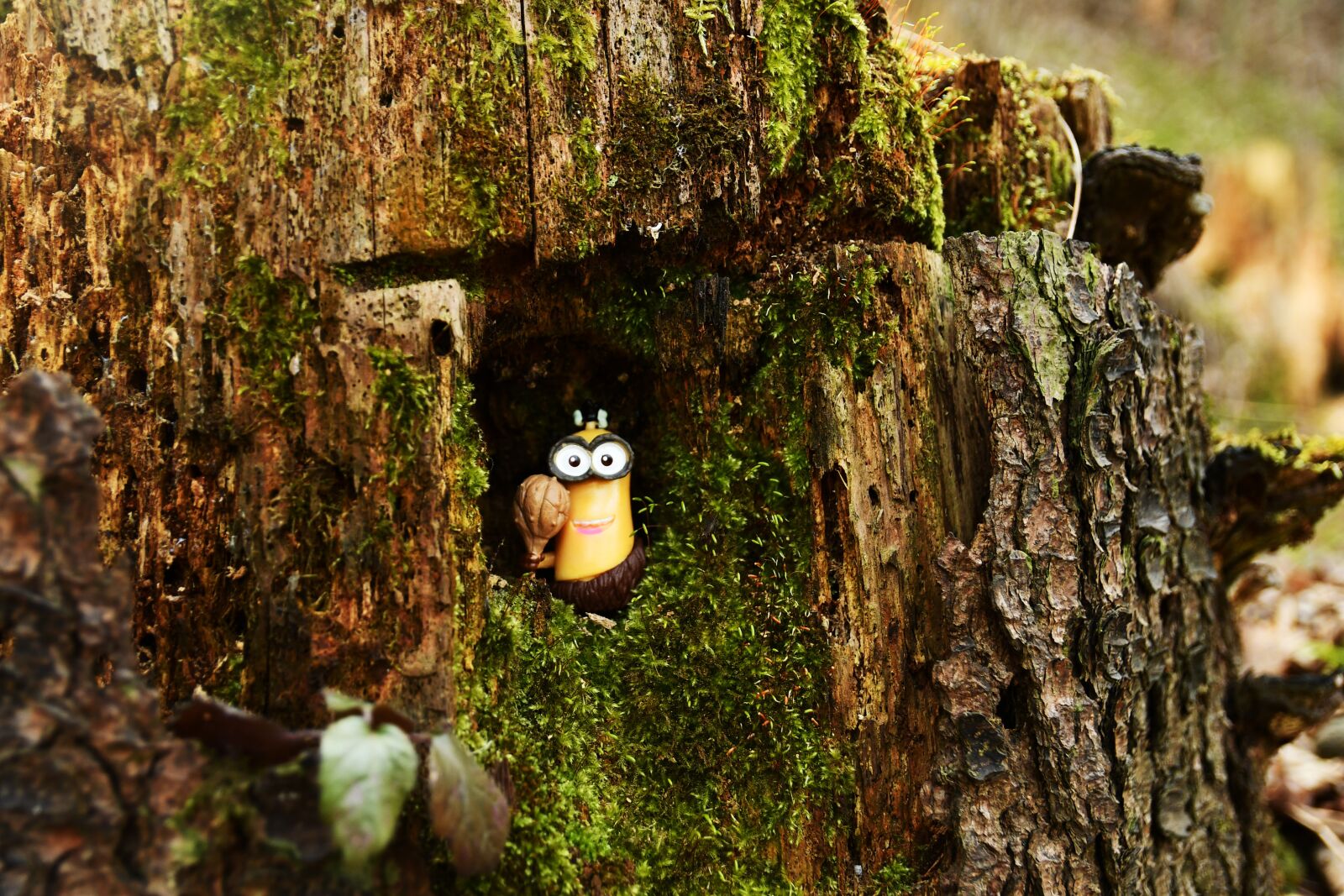 Nikon D7500 sample photo. Minion, funny, toys photography