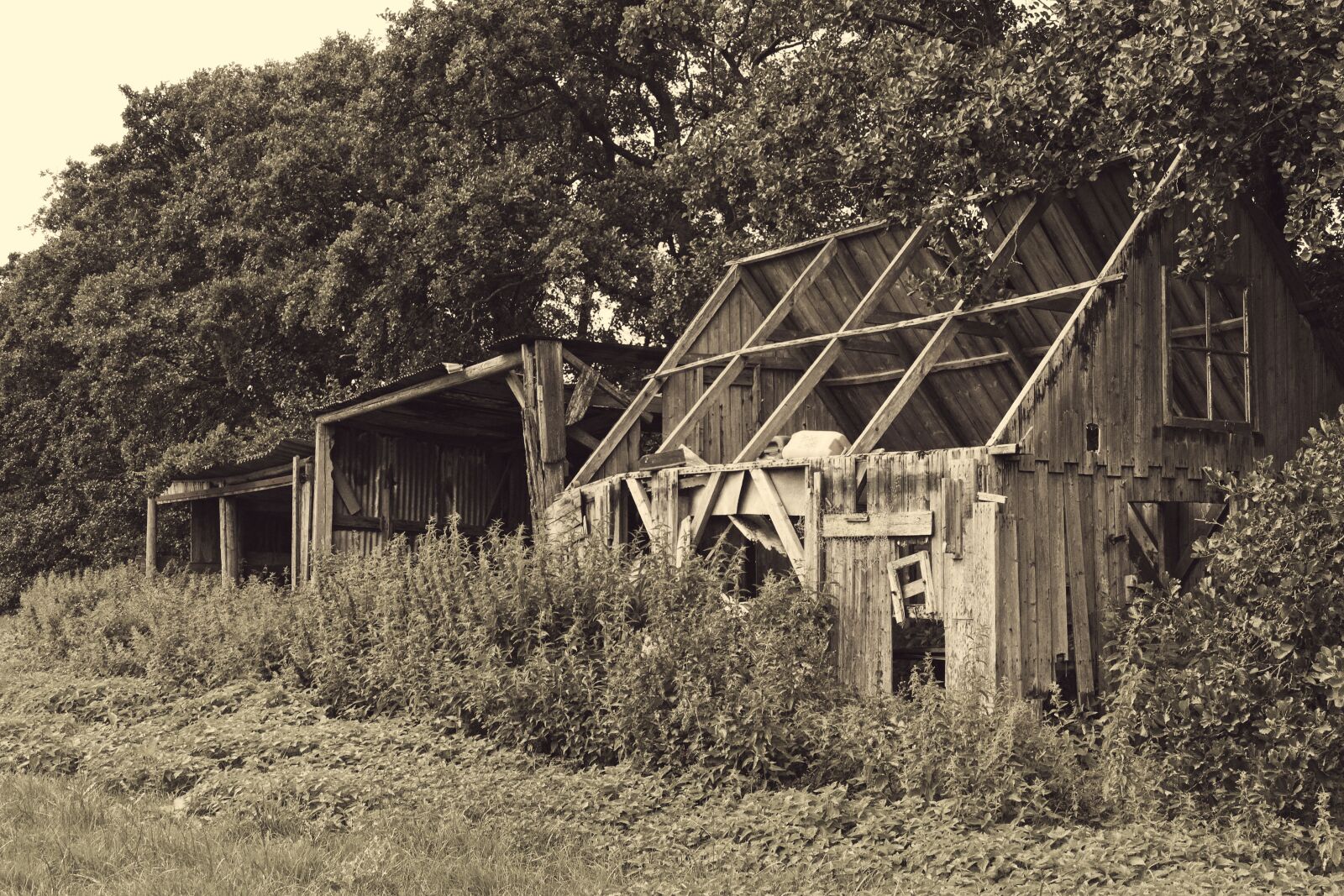 Panasonic Lumix DMC-FZ1000 sample photo. Expired, barn, vintage photography