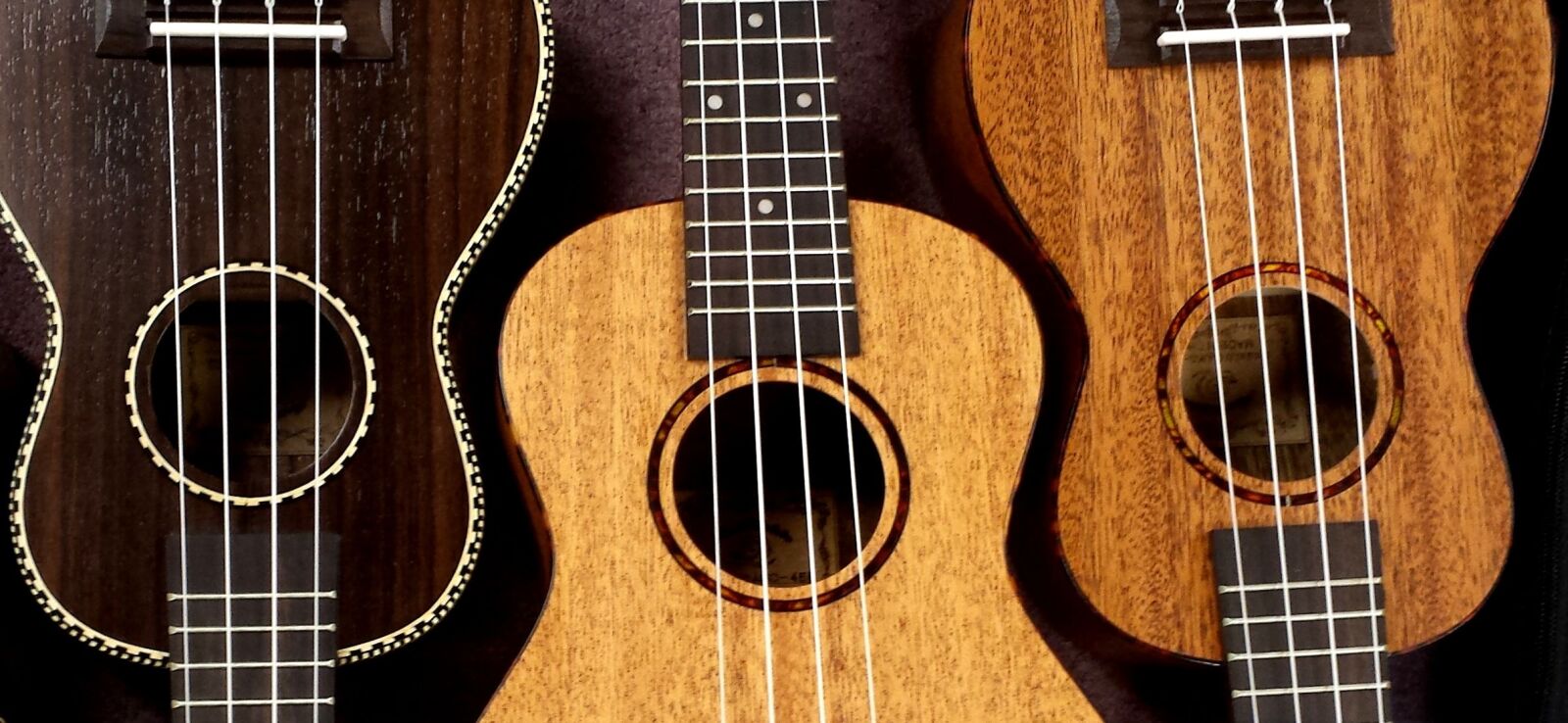 Samsung Galaxy S4 sample photo. Ukulele, snail, ukes photography