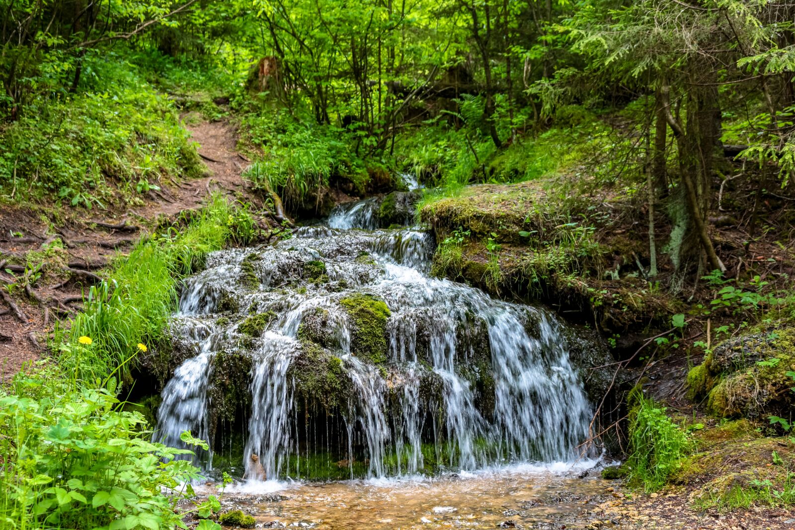 Canon EOS 100D (EOS Rebel SL1 / EOS Kiss X7) sample photo. Rattlesnake creek, creek, stream photography
