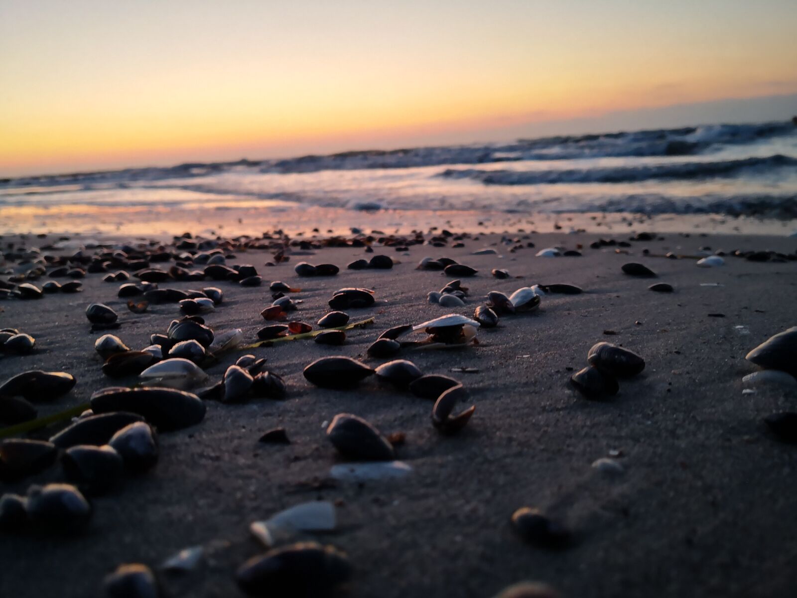 HUAWEI Mate 10 Pro sample photo. Beach, shell, hiddensee photography