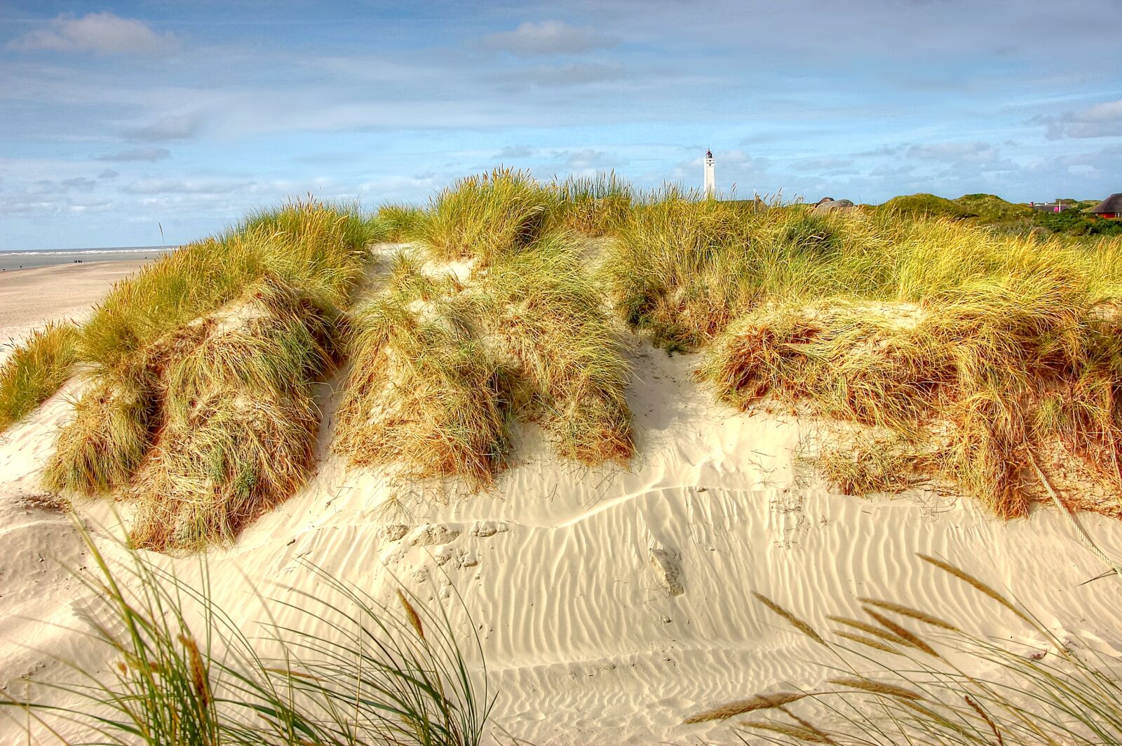 Nikon D40 sample photo. Blavand, denmark, north sea photography
