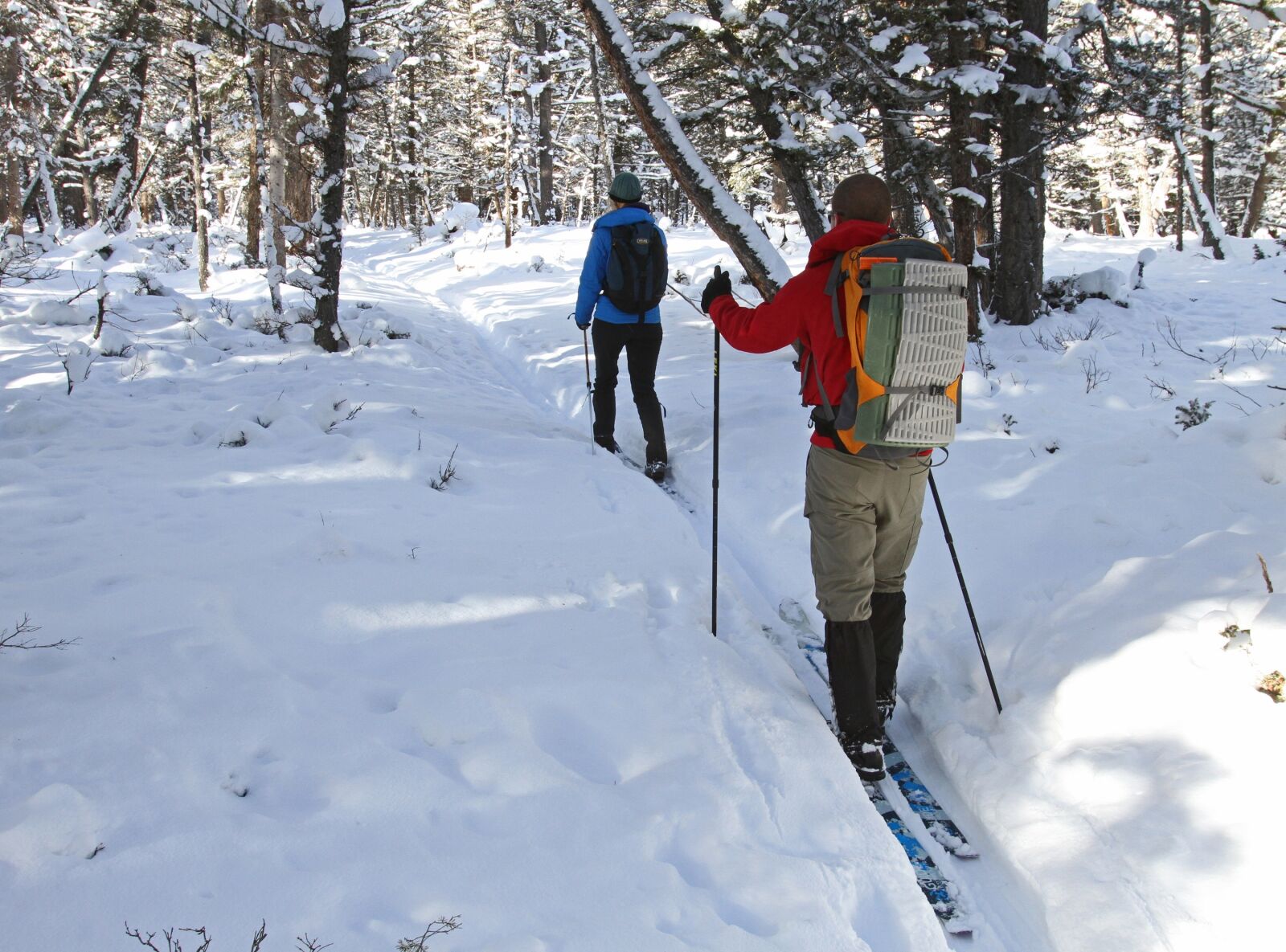 Canon EOS 7D sample photo. Skiers, cross country, snow photography