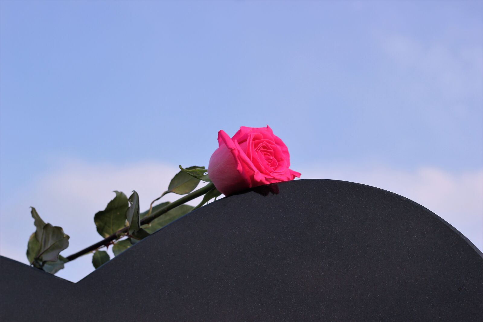 Canon EOS 550D (EOS Rebel T2i / EOS Kiss X4) sample photo. Pink rose, heart gravestone photography