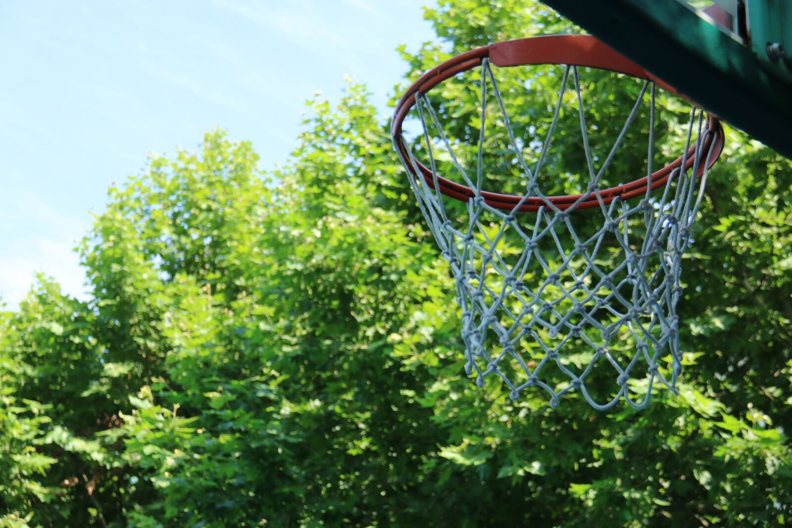 Canon EOS 70D sample photo. Basketball, sky, green photography