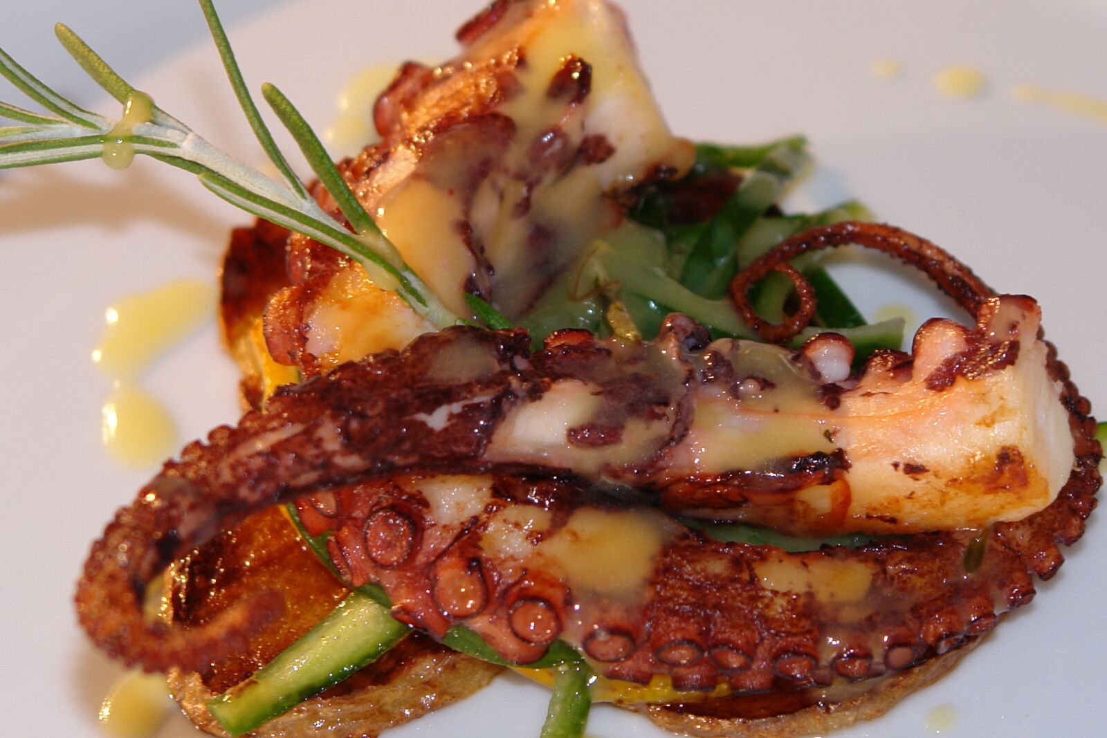 Sony DSC-R1 sample photo. Seafood, octopus, sea photography