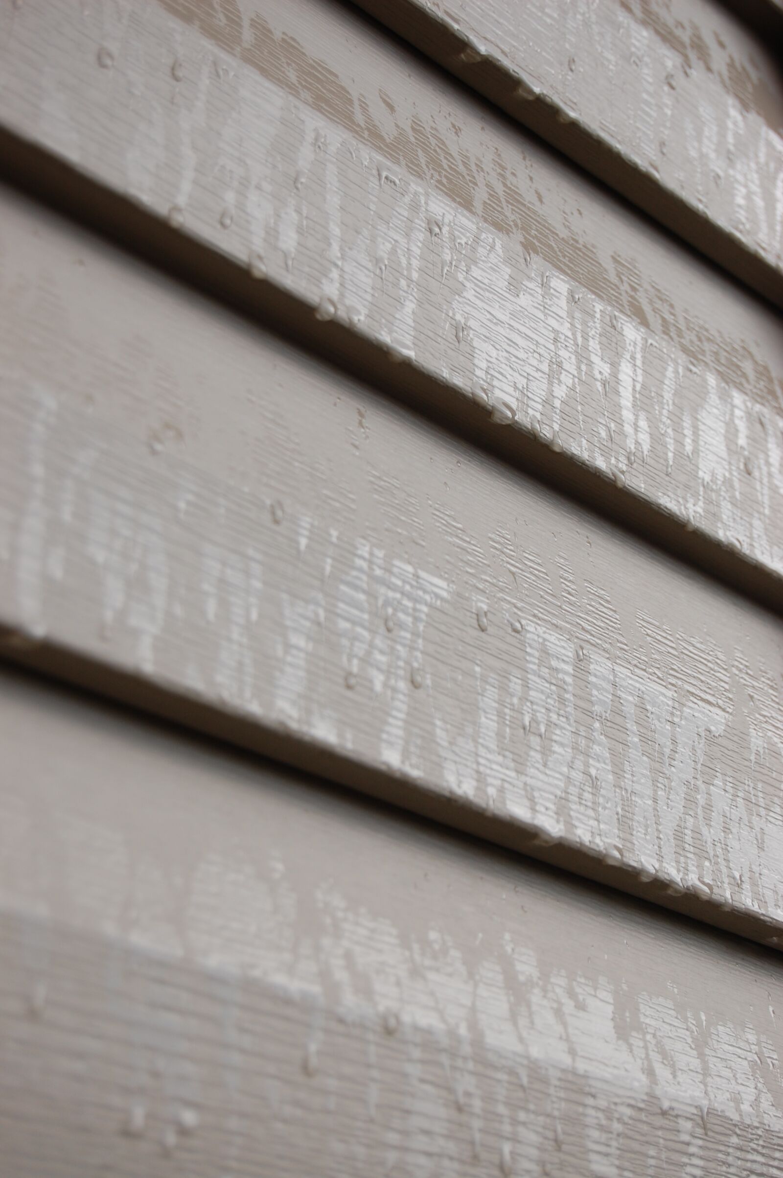Nikon D40 sample photo. Texture, siding, rain photography