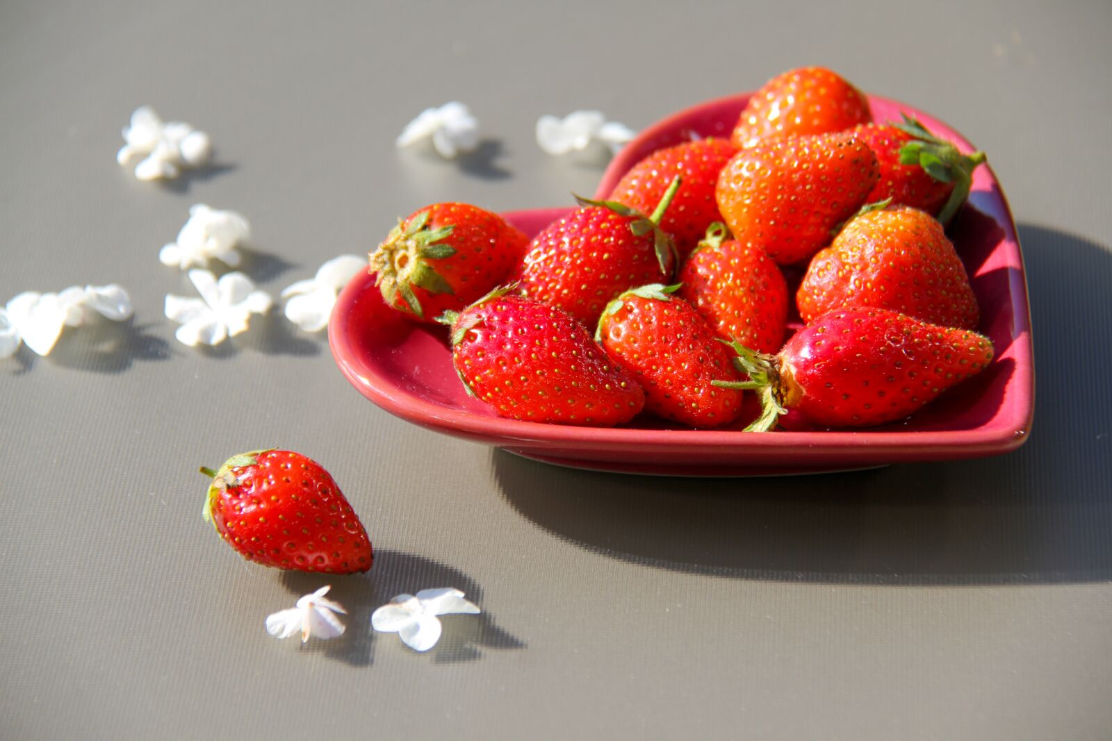 Canon EOS 7D sample photo. Strawberries, saucer, sun photography