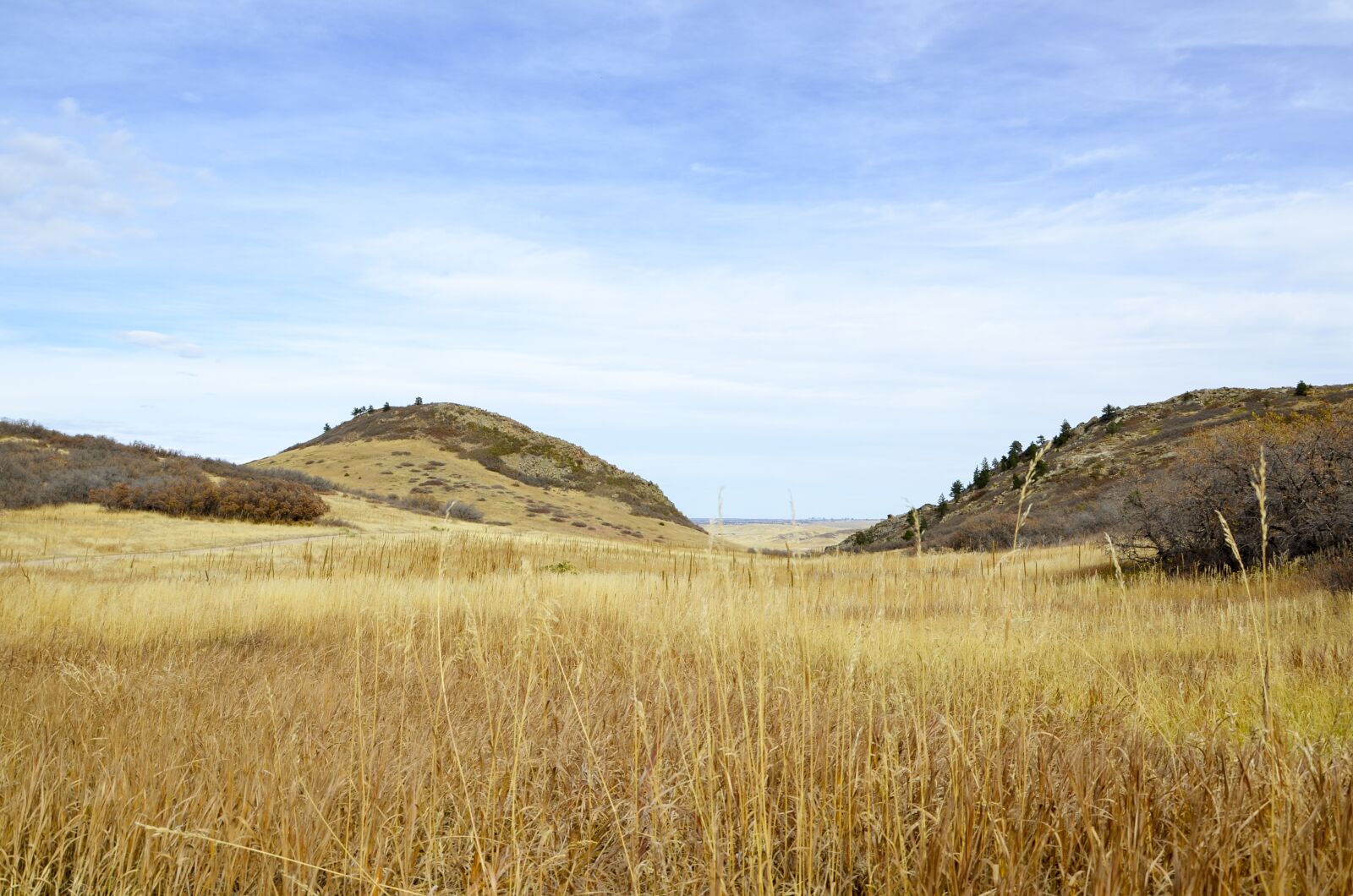 Nikon D7000 sample photo. Denver, fall color, plain photography