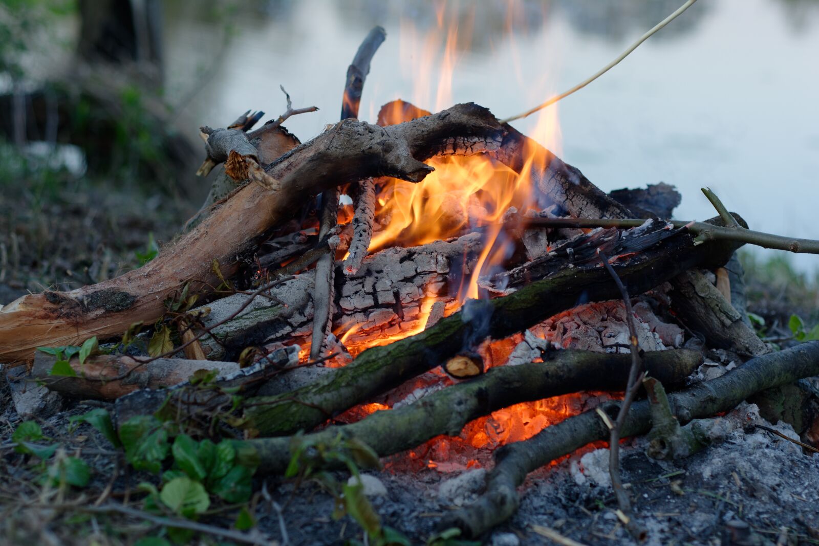 Nikon D5200 sample photo. Heat, flames, burn photography