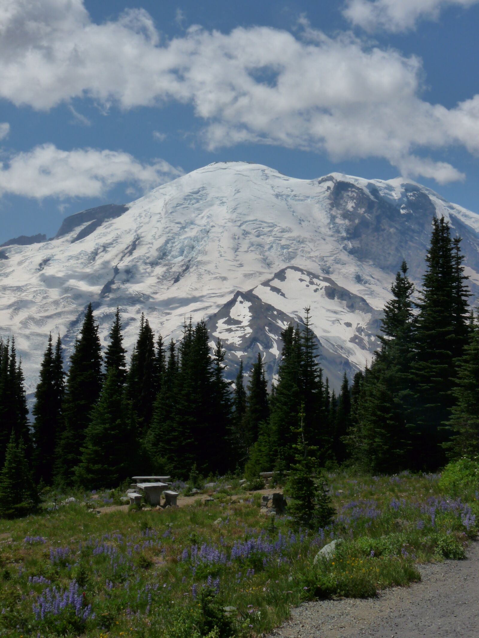 Panasonic Lumix DMC-FZ28 sample photo. Rainier, mountain, washington photography