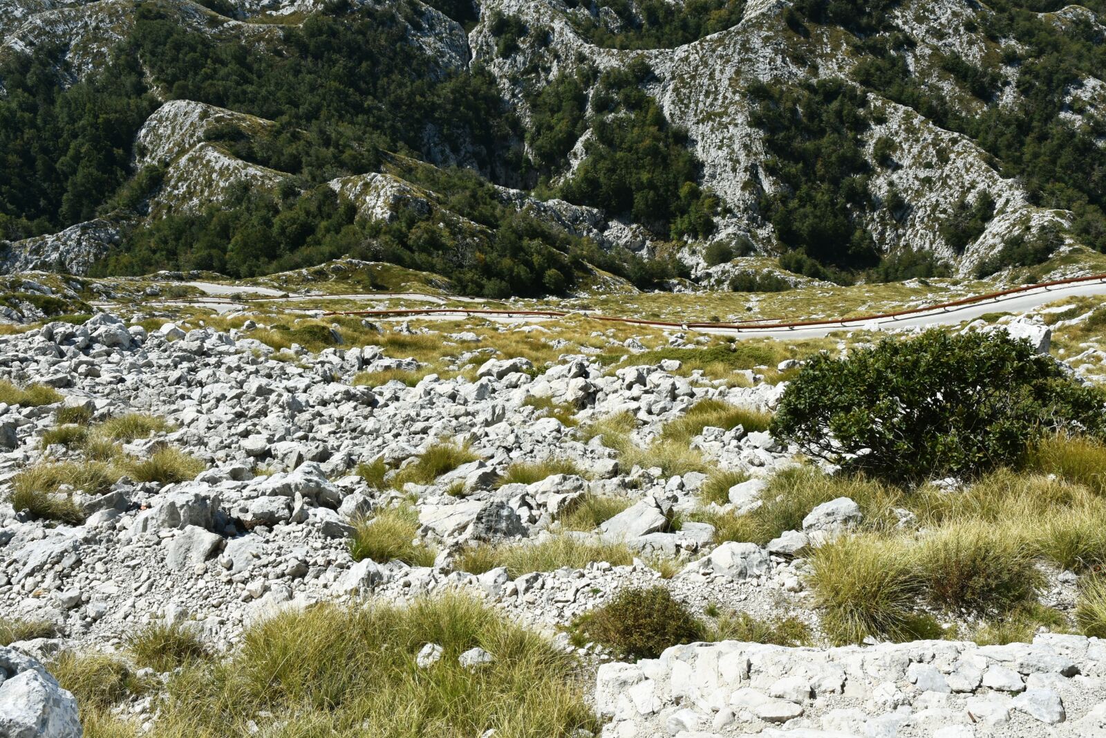 Nikon D7200 sample photo. Biokovo nature park, croatia photography
