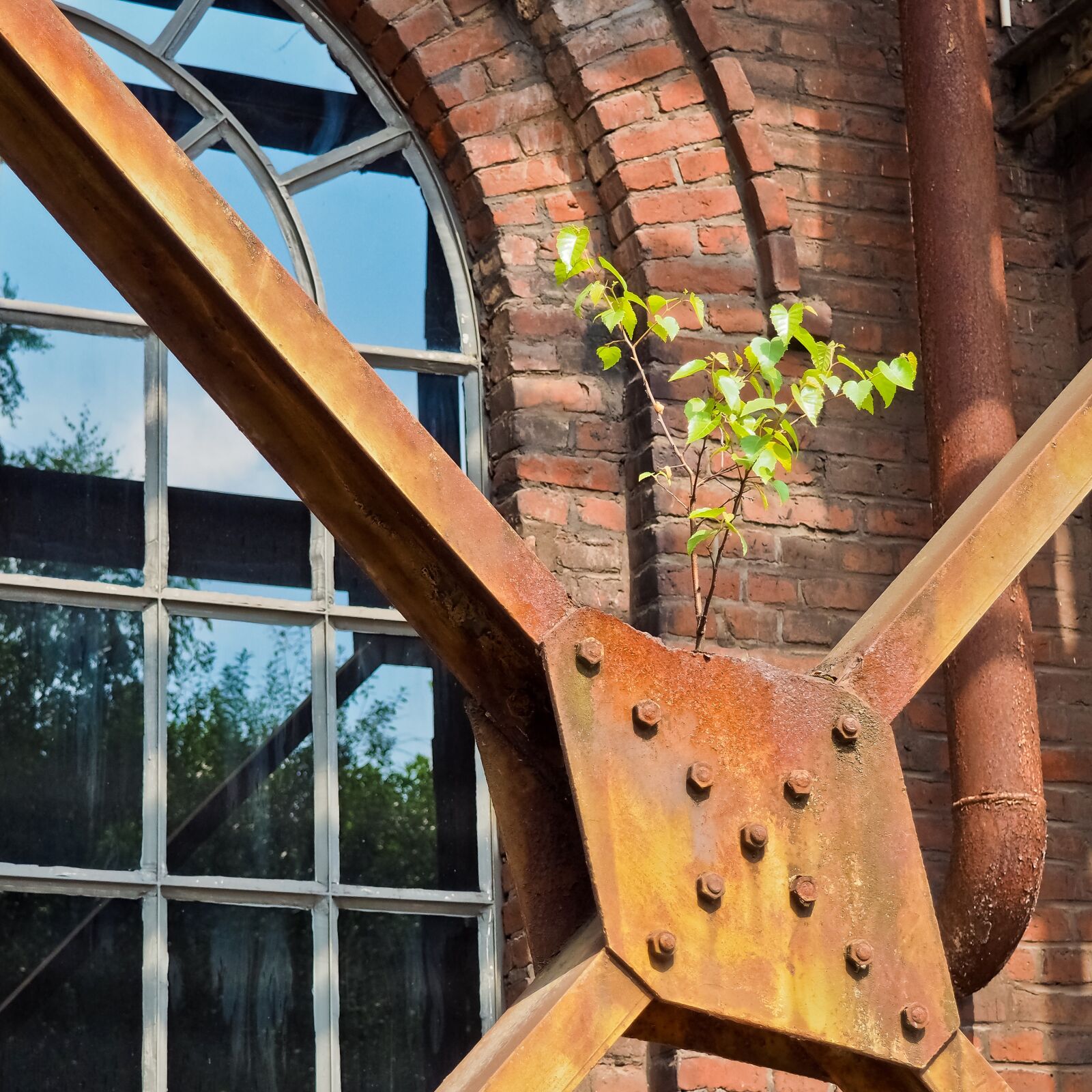 Olympus OM-D E-M10 sample photo. Architecture, steel mill, factory photography