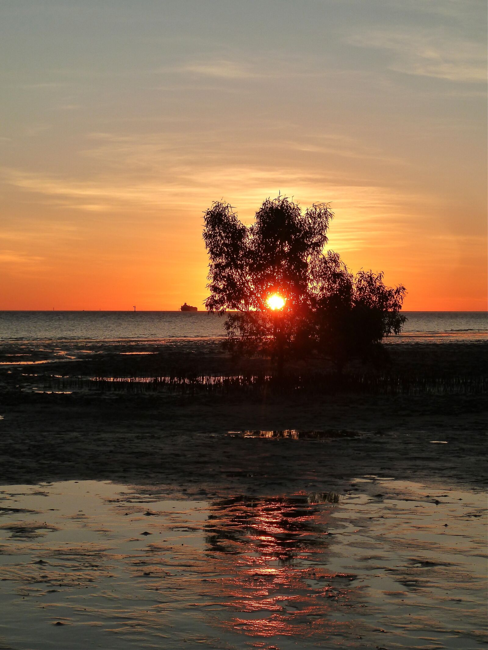 Panasonic Lumix DMC-ZS7 (Lumix DMC-TZ10) sample photo. Sunset, tree, evening photography