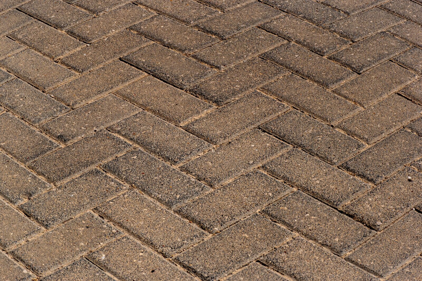 Nikon D5600 sample photo. Brick, floor, bricks photography