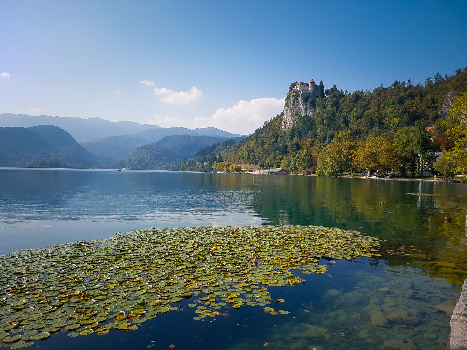 Samsung Galaxy S7 sample photo. Bled, europe, lake, nature photography