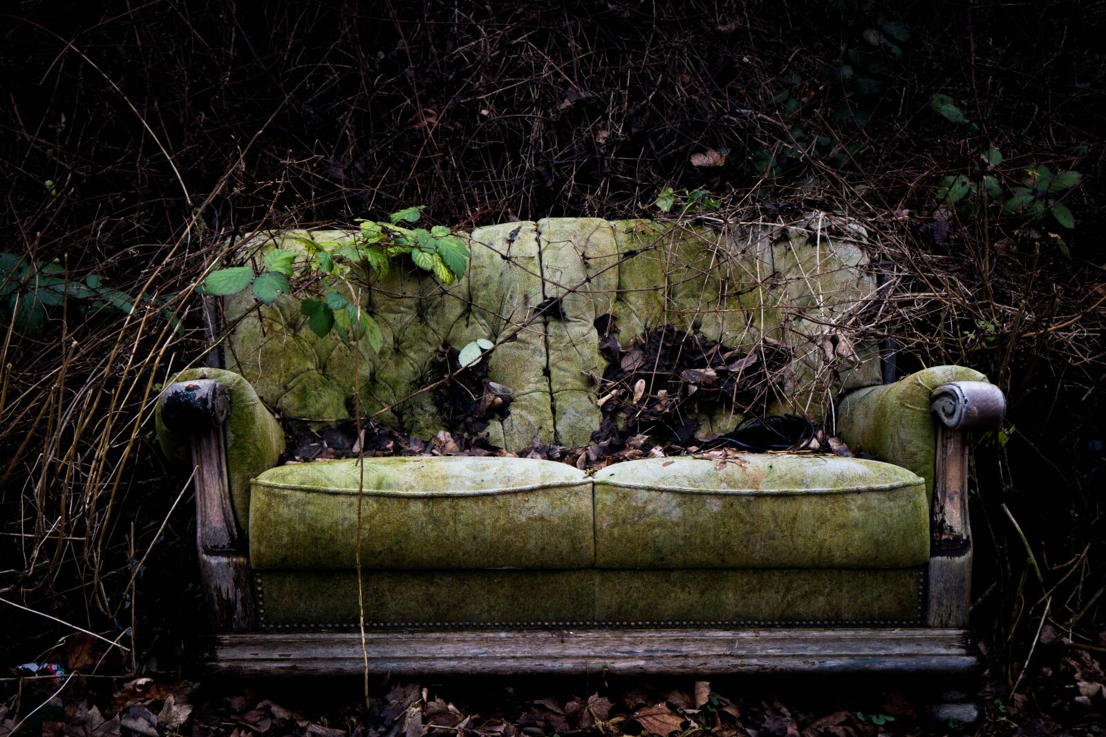 Sony a6500 + Sony Vario-Tessar T* E 16-70mm F4 ZA OSS sample photo. Wood, nature, old photography