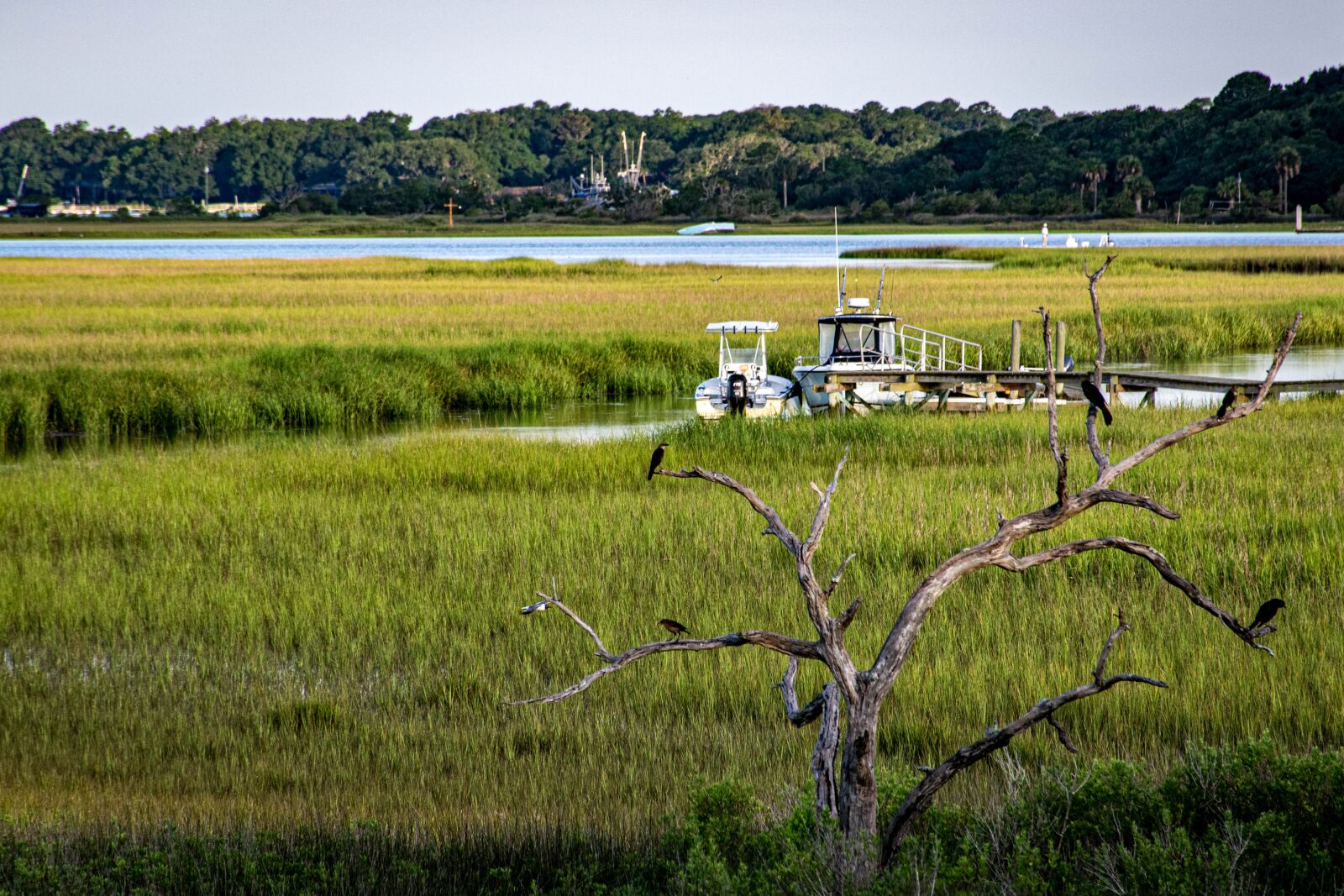 Nikon D5300 sample photo. Boats, beach, sea photography