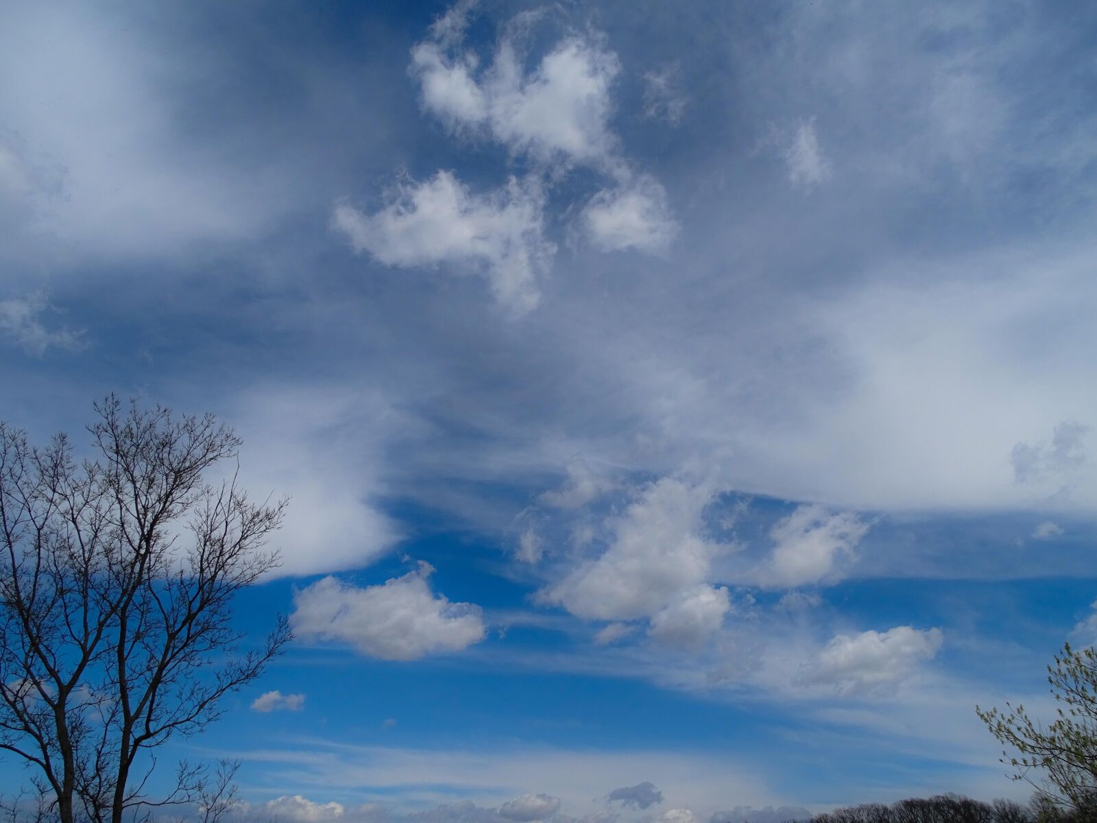Sony Cyber-shot DSC-HX400V sample photo. Background, beautiful, beauty photography