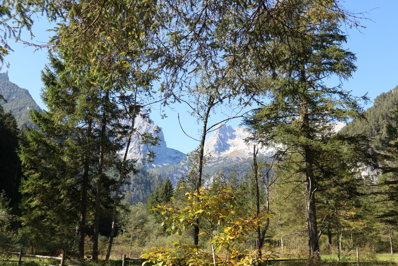 Canon EOS M100 sample photo. Nature, mountains, forest photography