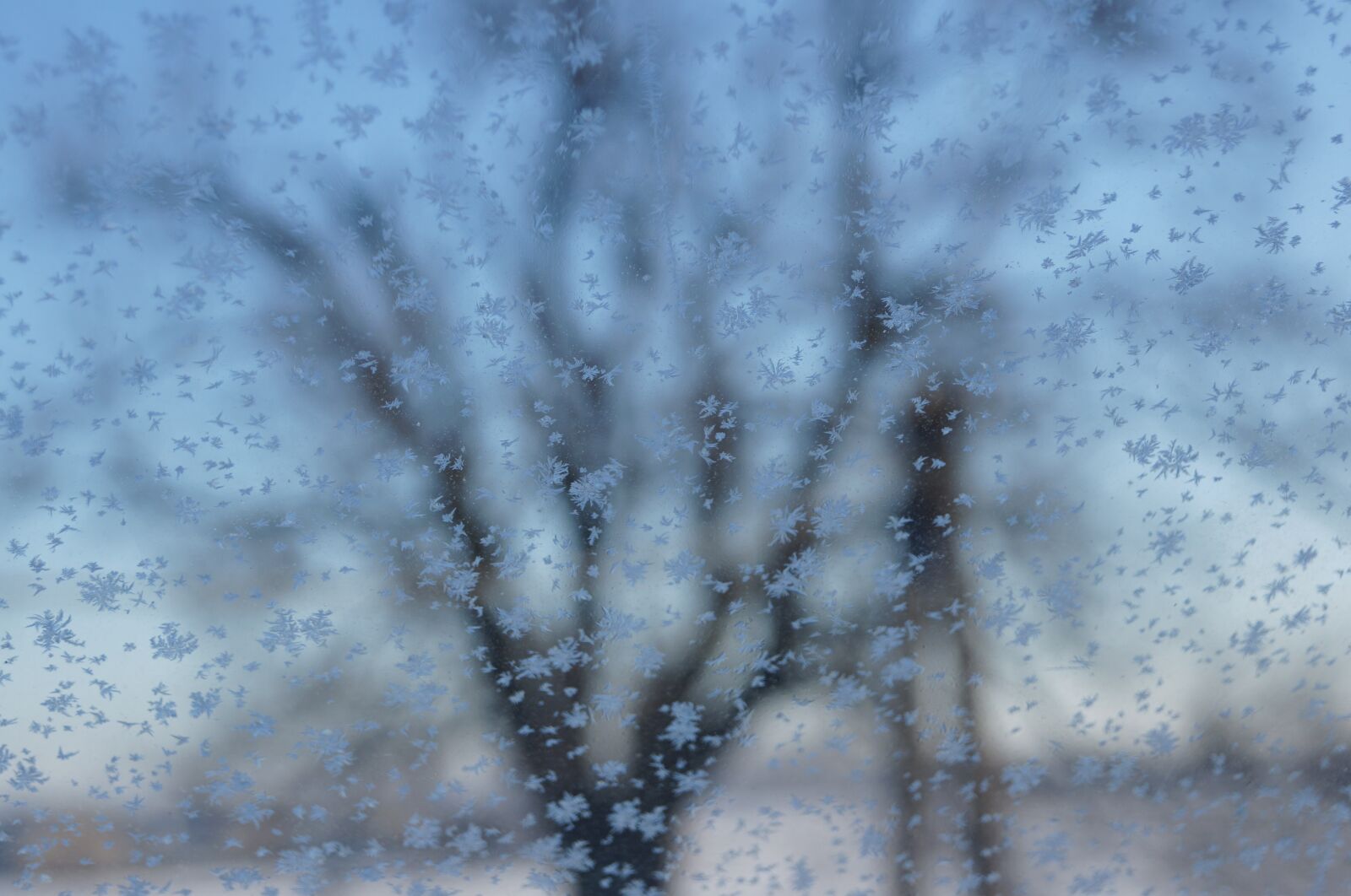 Sony SLT-A57 sample photo. Winter, landscape, ice photography