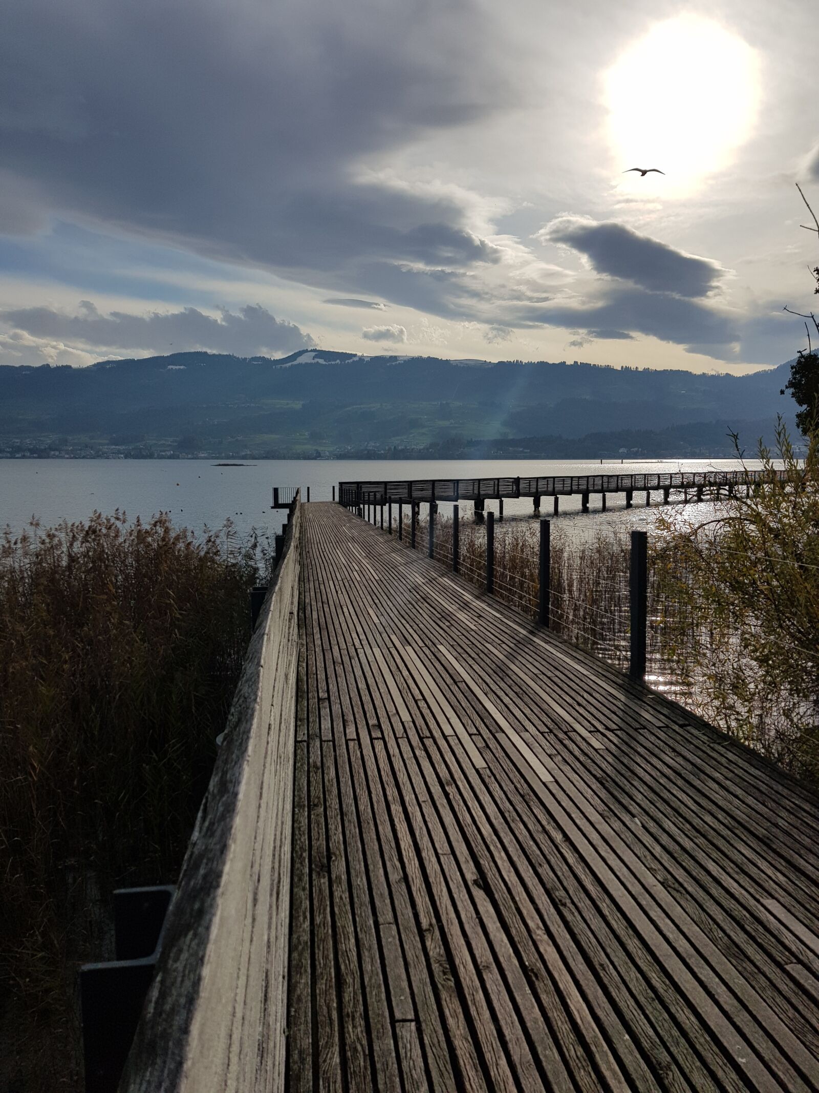 Samsung Galaxy S8 sample photo. Rapperswil, switzerland, wooden bridge photography