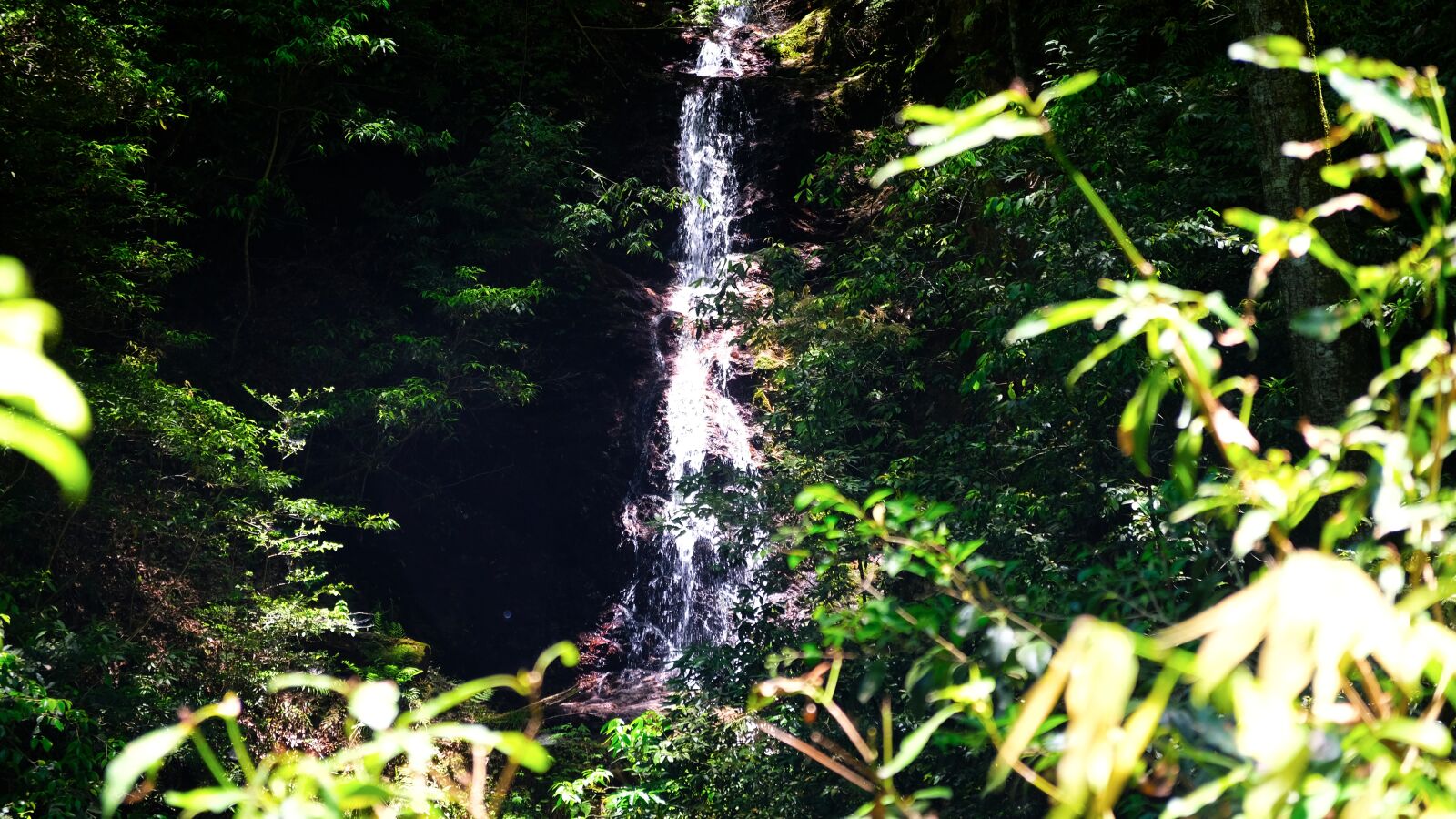 Fujifilm X-T2 sample photo. Waterfall, shrubbery, nature photography
