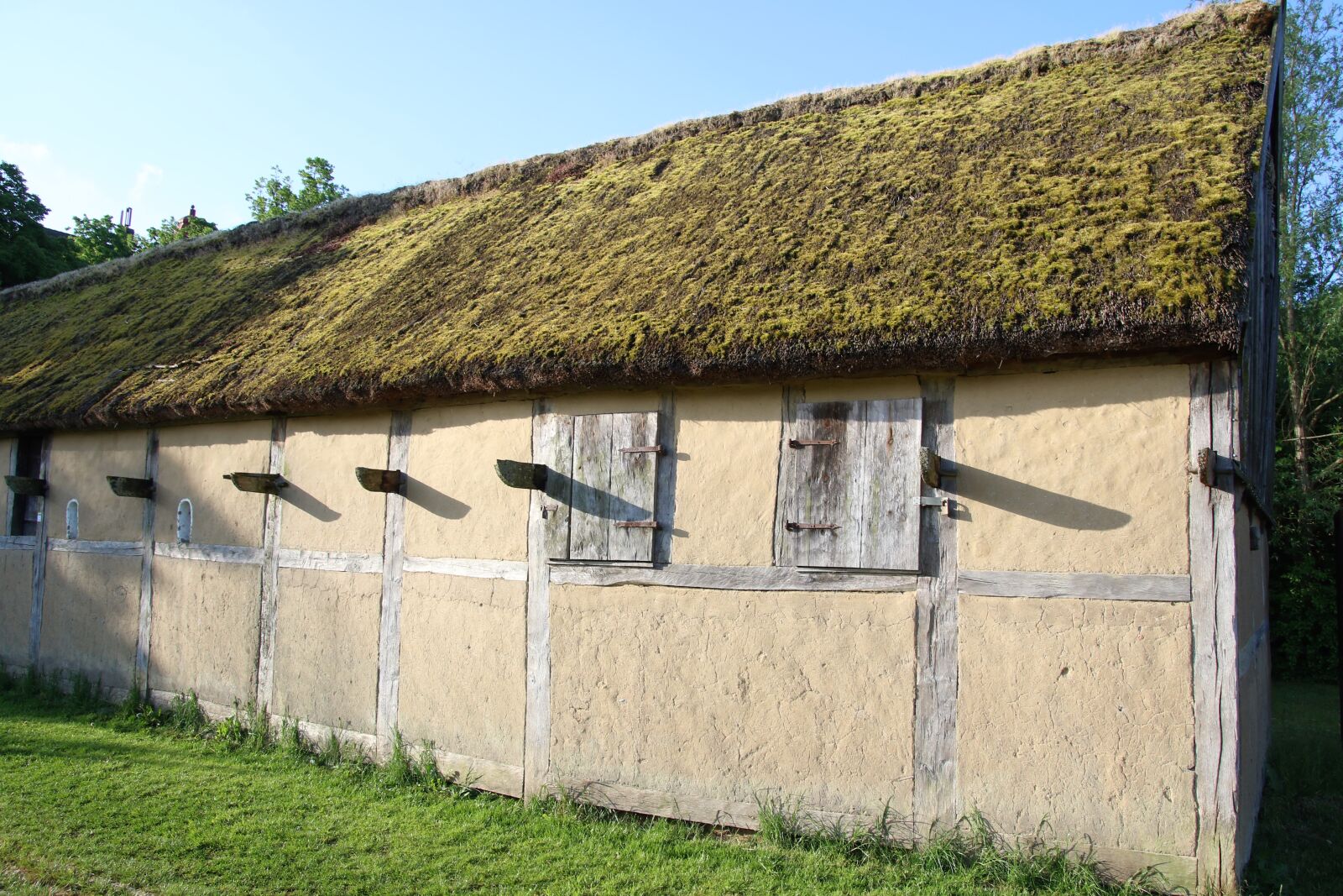 Canon EOS 7D Mark II sample photo. Beams, grass, grass, roof photography